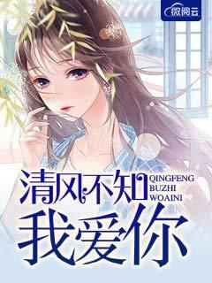清风不知我爱你百度