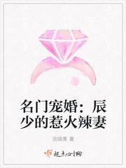 名门盛宠之辰少的小妻
