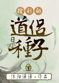 暗夜狂尊免费阅读