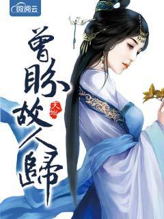 曾盼故人归txt