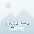 武战道的歌